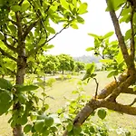 Antico Sentiero Bed and breakfast 3*