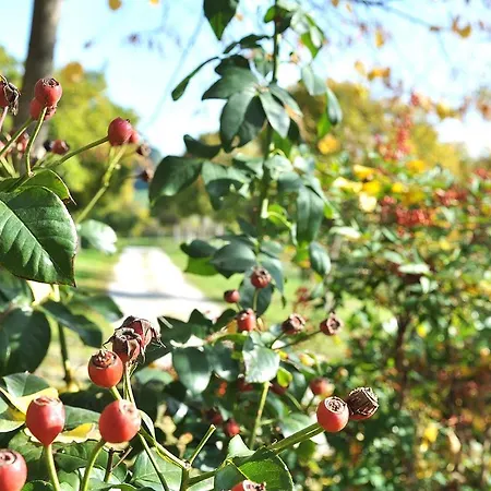 Antico Sentiero 3* Cesena