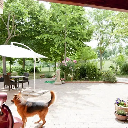 فندق مبيت وإفطار Antico Sentiero تشيزينا