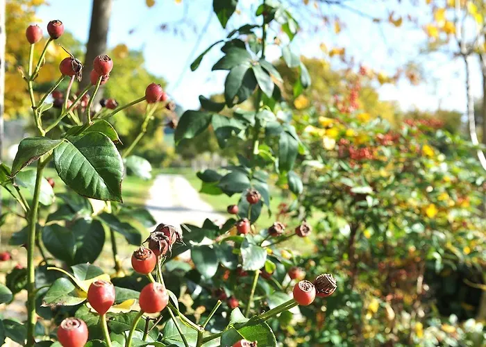 Antico Sentiero 3* Cesena