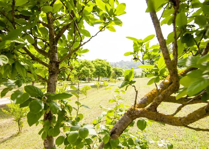 Antico Sentiero فندق مبيت وإفطار 3*